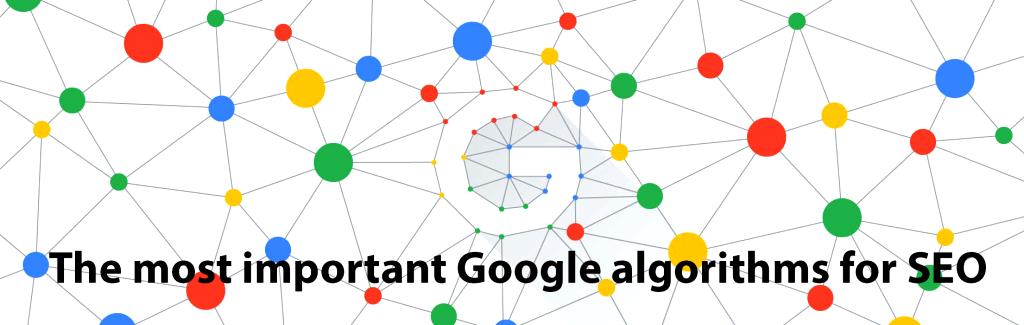 The most important Google algorithms for SEO