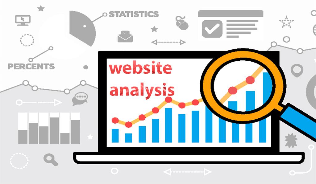 analysis of website