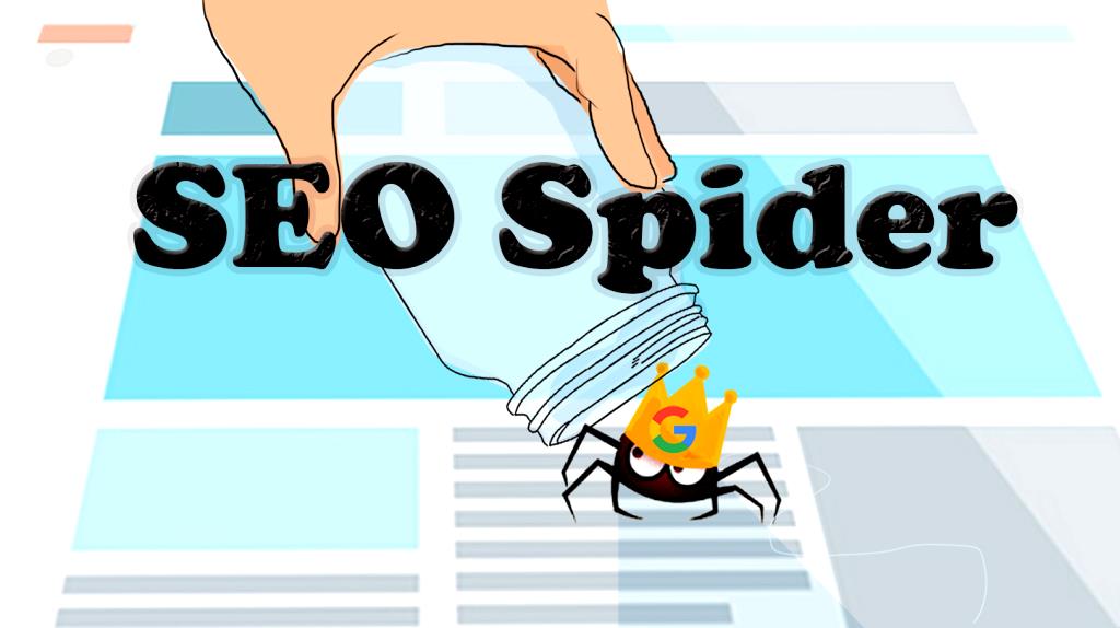 A search engine spider, also known as a web crawler, is an Internet bot that crawls websites and stores information for the search engine to index. Think of it this way. When you search something on Google, those pages and pages of results can seo spider