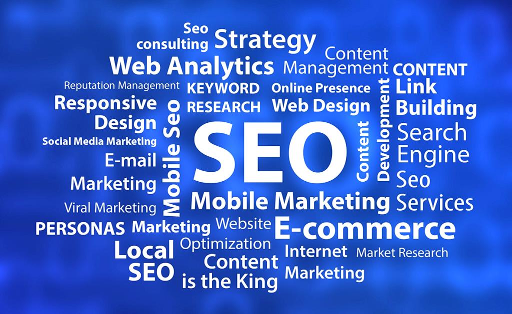 professional Search engine optimization professional SEO