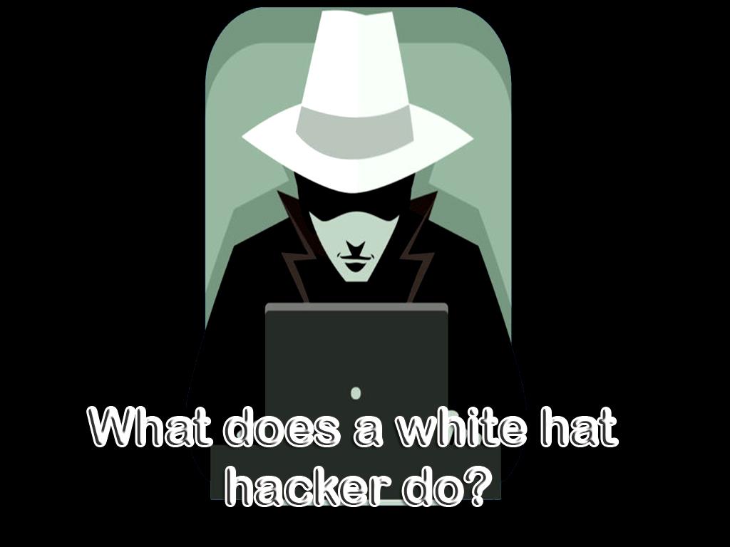 What does a white hat hacker do?