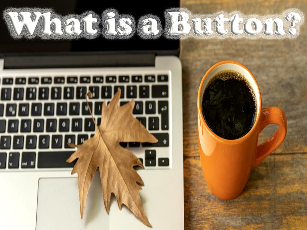 What is a Button?