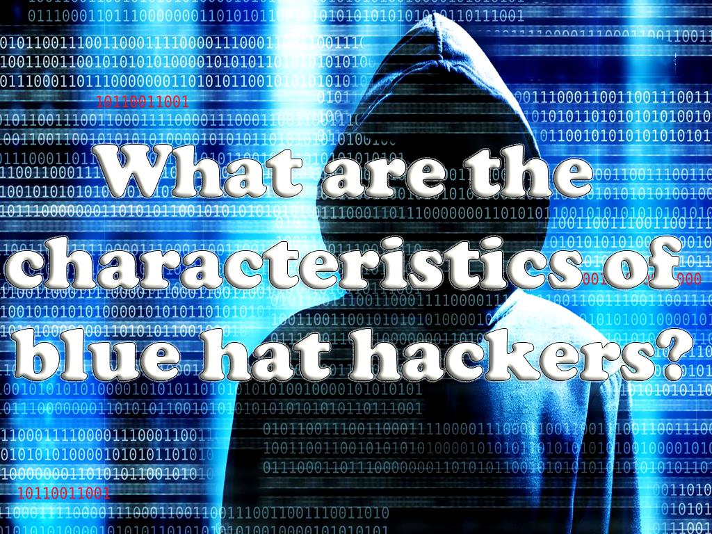 What are the characteristics of blue hat hackers