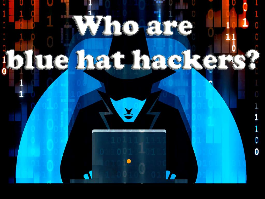 Who are blue hat hackers?