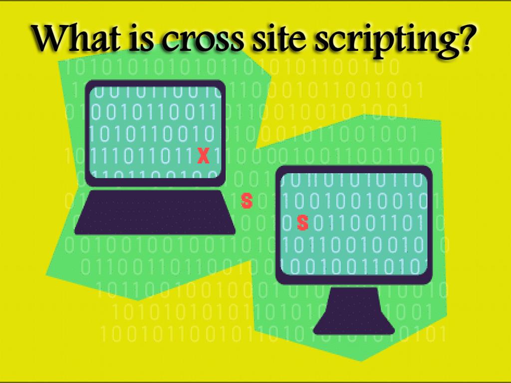 What is the example of cross site scripting?
