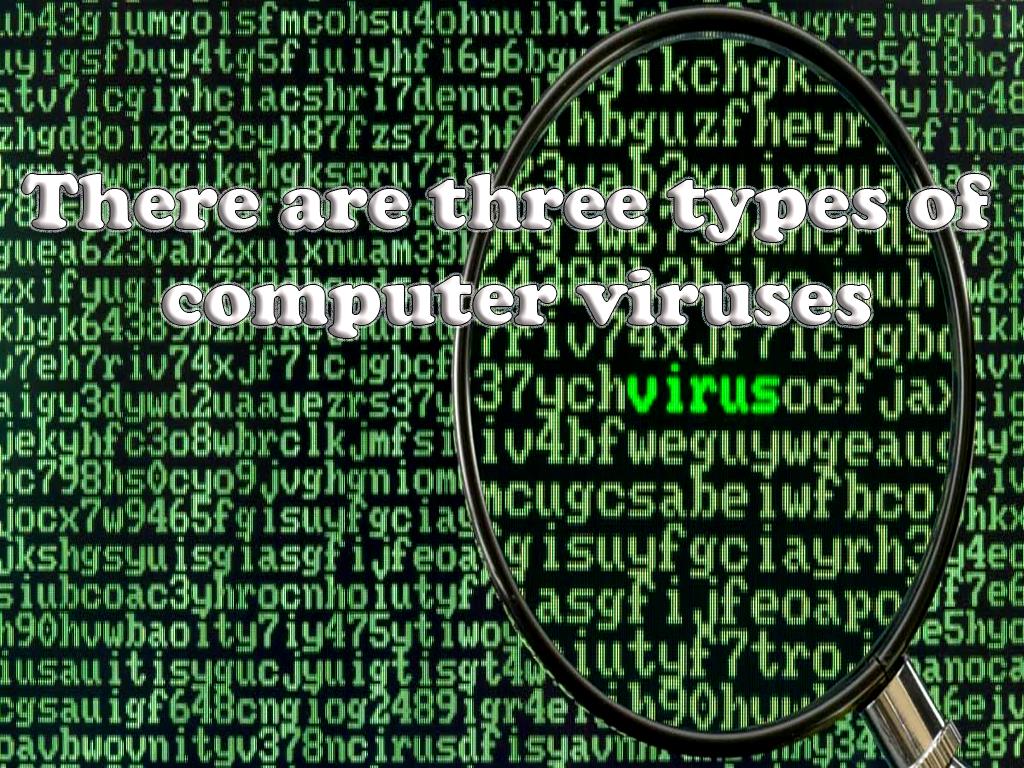 There are three types of computer viruses