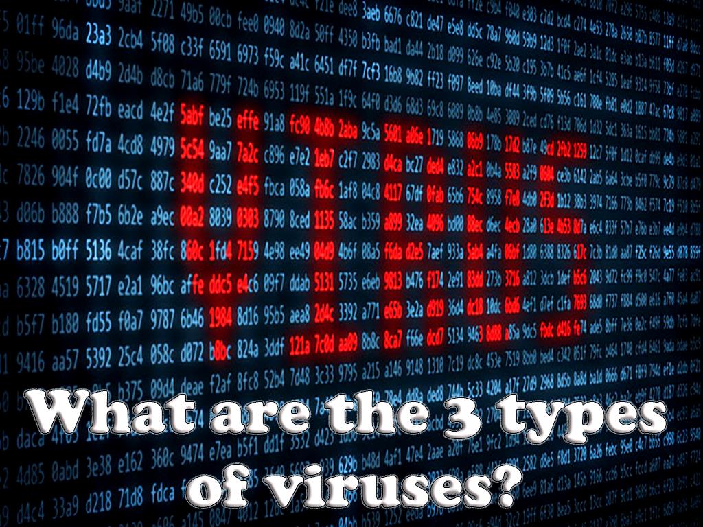 What are the 3 types of viruses?
