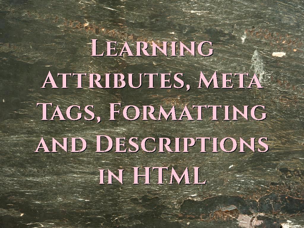 Meta Tags Formatting