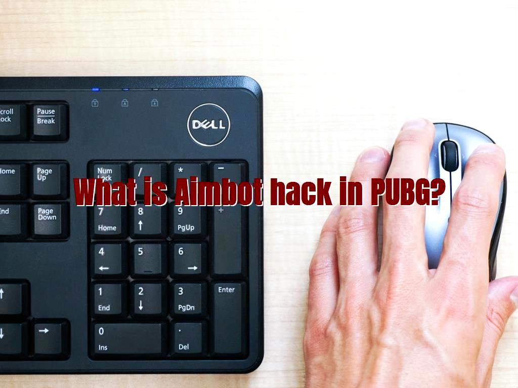 It is worth mentioning that PUBG MOBILE is one of the most popular games and has a lot of fans today, and yet it has been able to attract many users and gamers. This popular game, which has a lot of fans, also has many cheaters and hackers. In this article, we want to tell you a few PUBG hacks. What is Aimbot hack in PUBG?