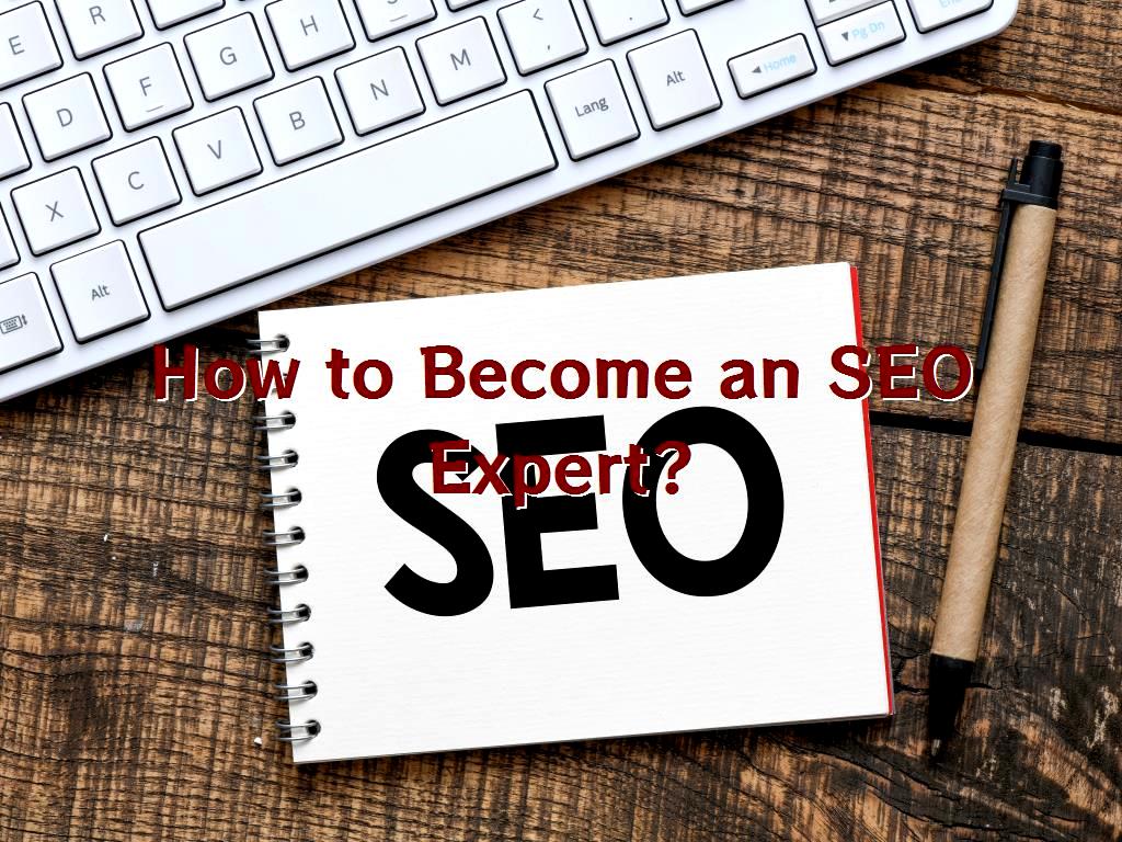 How to Become an SEO Expert? (Getting Started with SEO education)