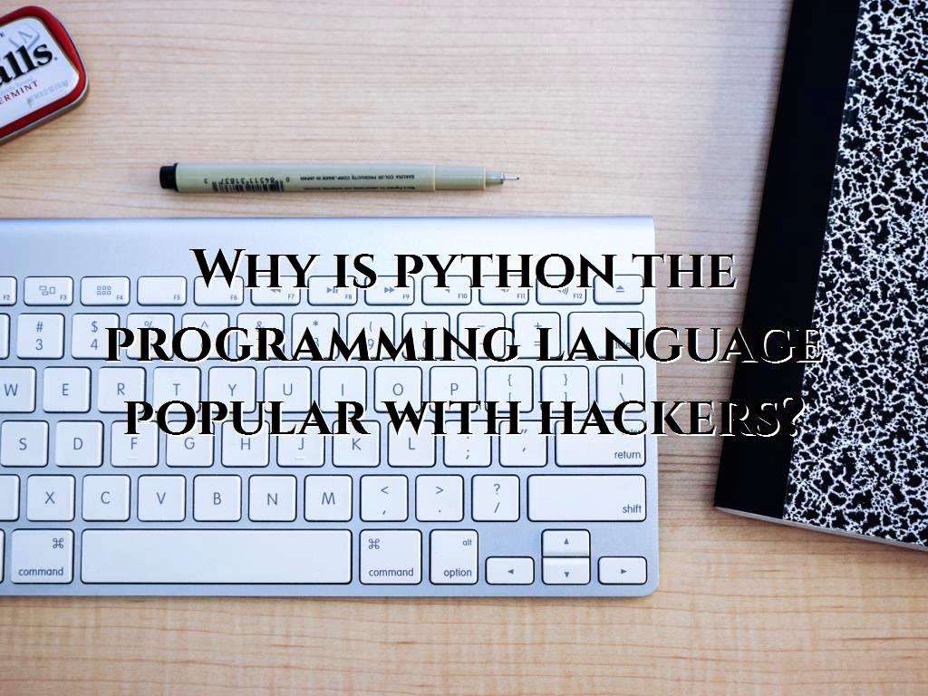 Why is python the programming language popular with hackers?
