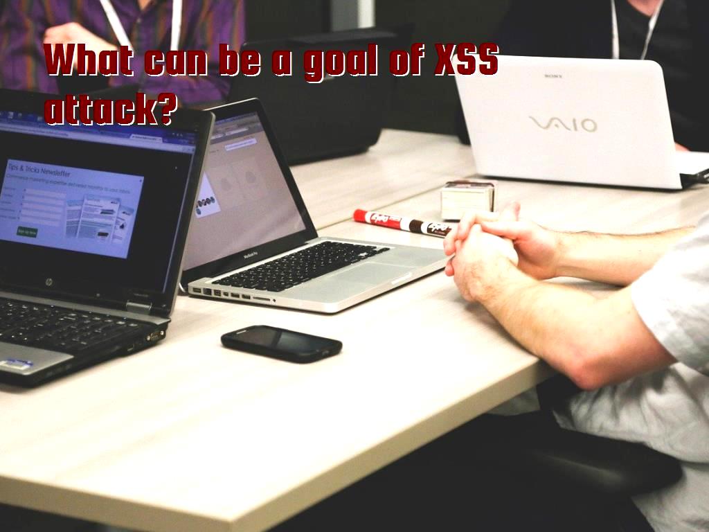 In this article DotNek group will define XSS attacks as well as mentioning a goal of this kind of attack. You will also become familiar with some subsets of the XSS attack and their results. What can be a goal