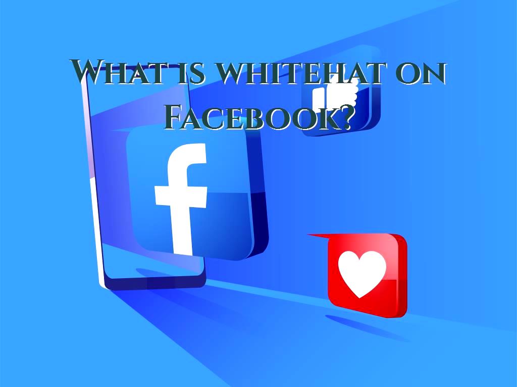Facebook Whitehat