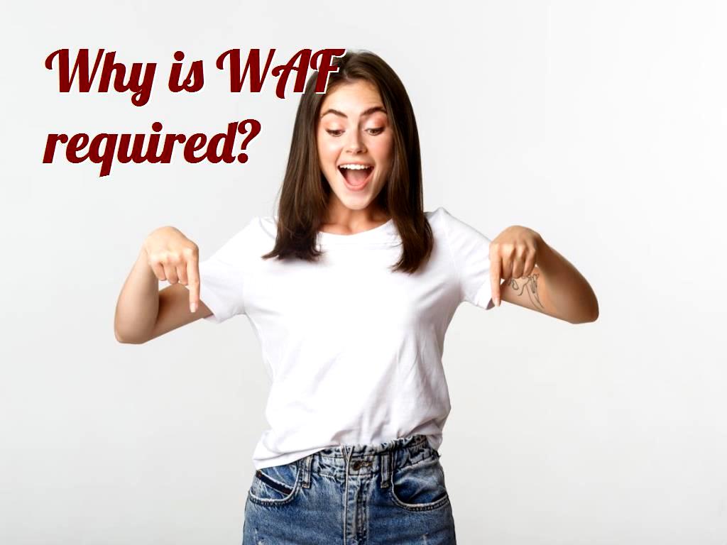 Their main task is to secure web servers, but they can do other things as well; for example, some of them are responsible for dividing the load, meaning that they can act as a load balancer and transfer requests as a set to a web server. WAF capabilities