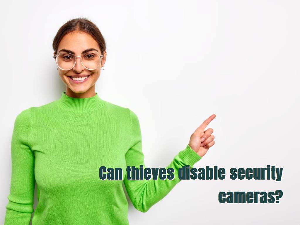 A closed-circuit television camera can produce images or recordings for surveillance or other private purposes.  CCTV cameras