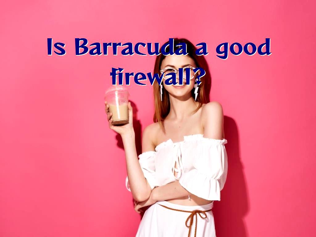 A distributed denial-of-service (DDoS) attack is a malicious attempt to disrupt the normal traffic of a targeted server DDoS attacks