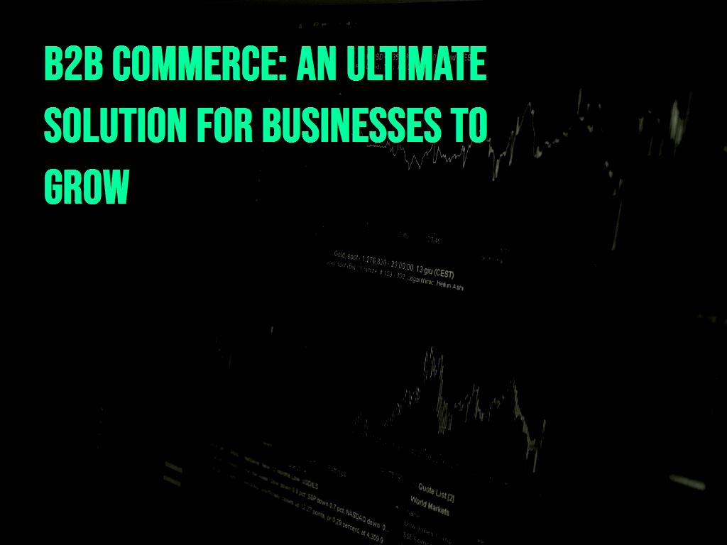 B2B commerce webpage B2B commerce website