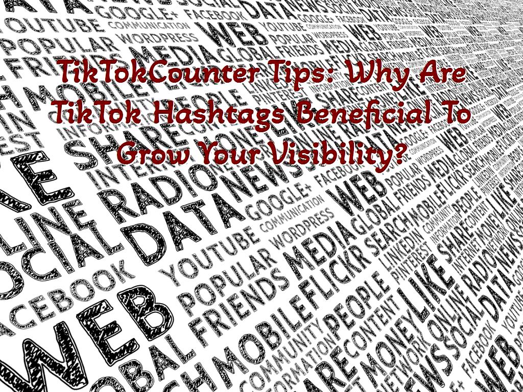 tiktok counter application tiktok counter app