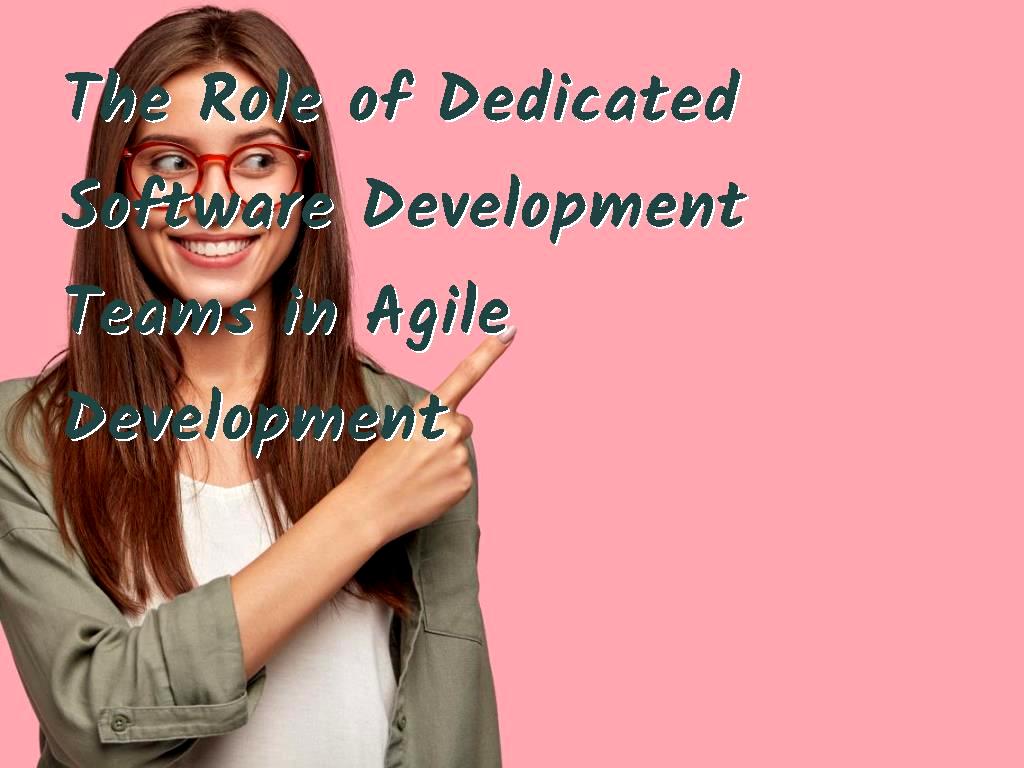 programming Team Development Team