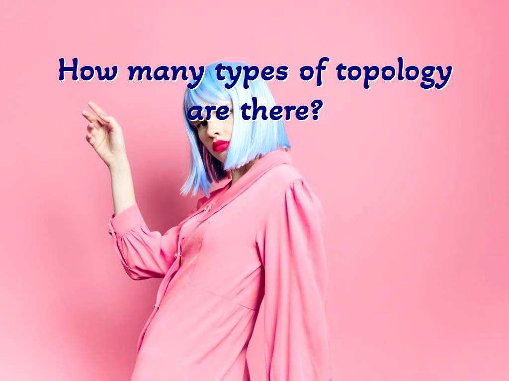 The combination of different topologies is actually the same as the combined topology. Hybrid