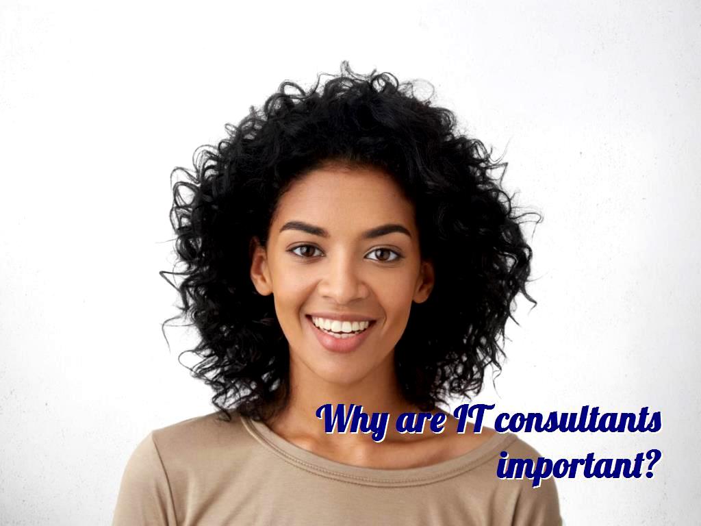 Who is the biggest IT consulting firm? IT consulting firm