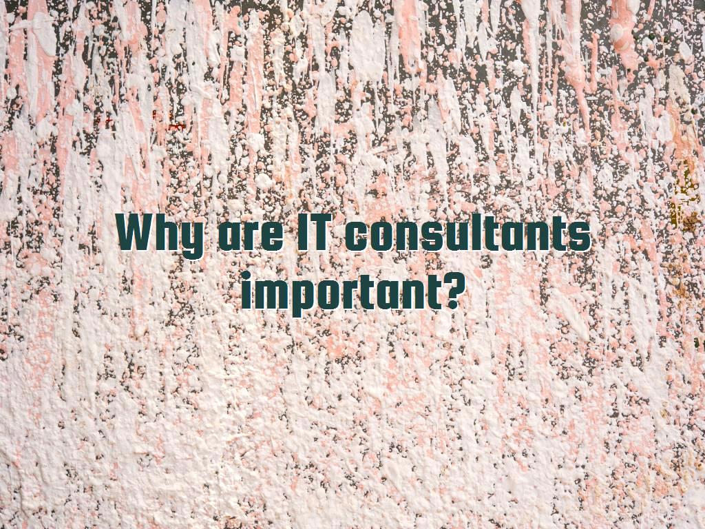 software programming software development