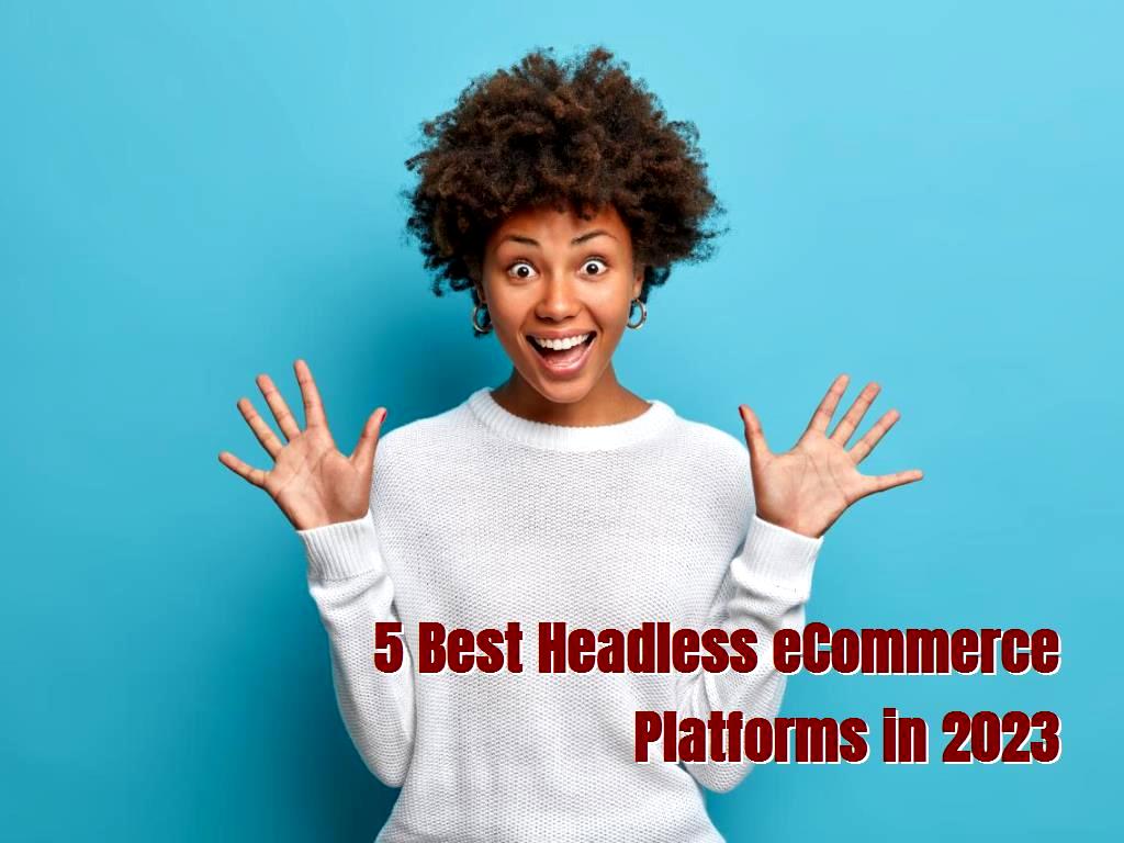 One of the drawbacks of monolithic websites is how tiresome it may be to introduce even minor changes to them. Let’s assume you want a new button color.  Customizability