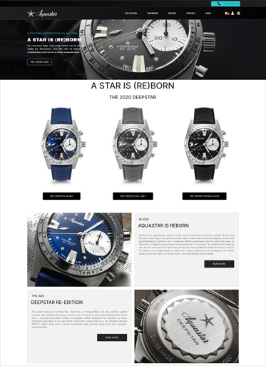 Aquastar shop web design